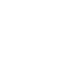 Customised solutions Icon