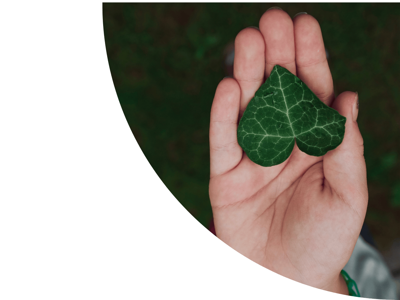 Half Page Images 1280 x 900