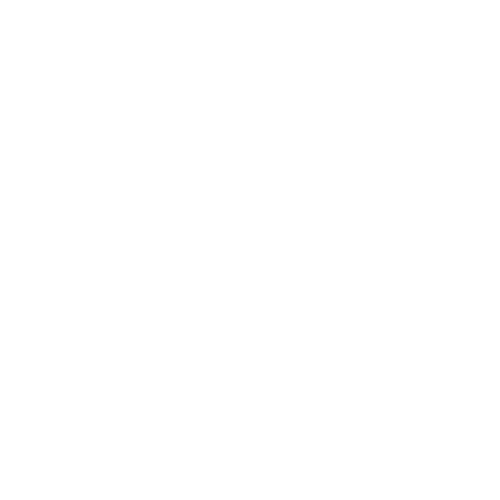 Legal Compliance Icon
