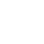 No transit risk icon