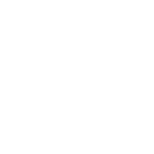 No transit risk icon